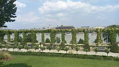 Donau (236)